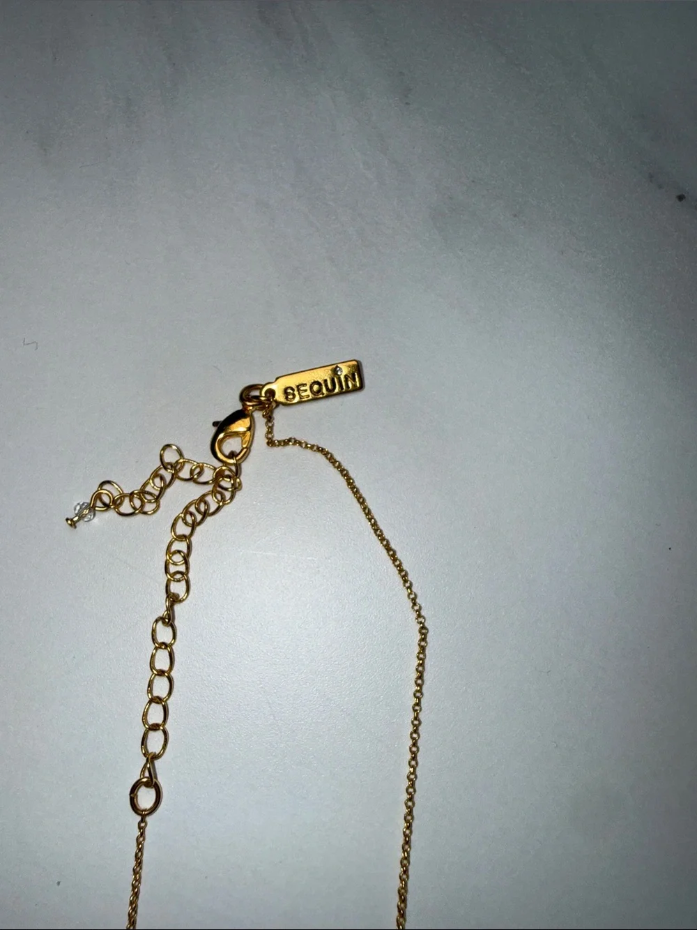 Gold Chain Necklace with Blue Striped Fish Charm